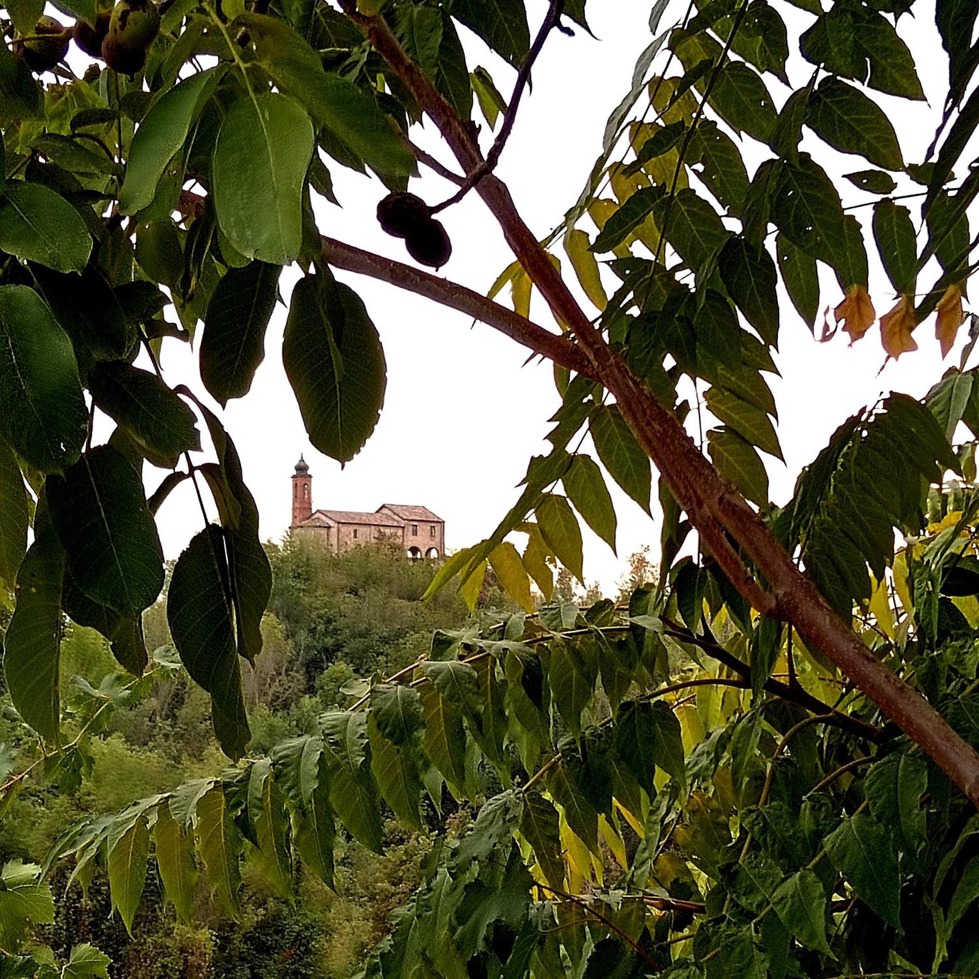 Teresa Belvedere Castellinaldo Exterior foto